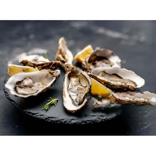 Oysters (wholesale)